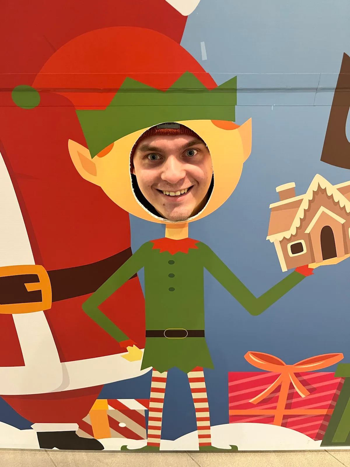Arttu as an elf